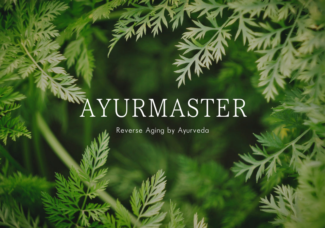 AYURMASTER公式オンラインショップ仮オープン