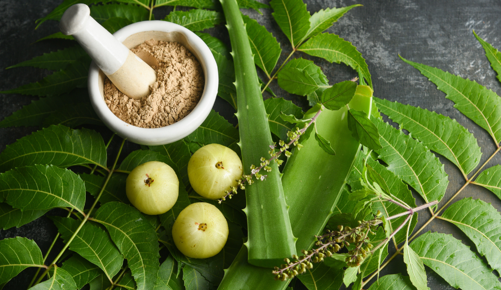 アーユルヴェーダとハーブの関係とは?体質の種類に合ったハーブとは