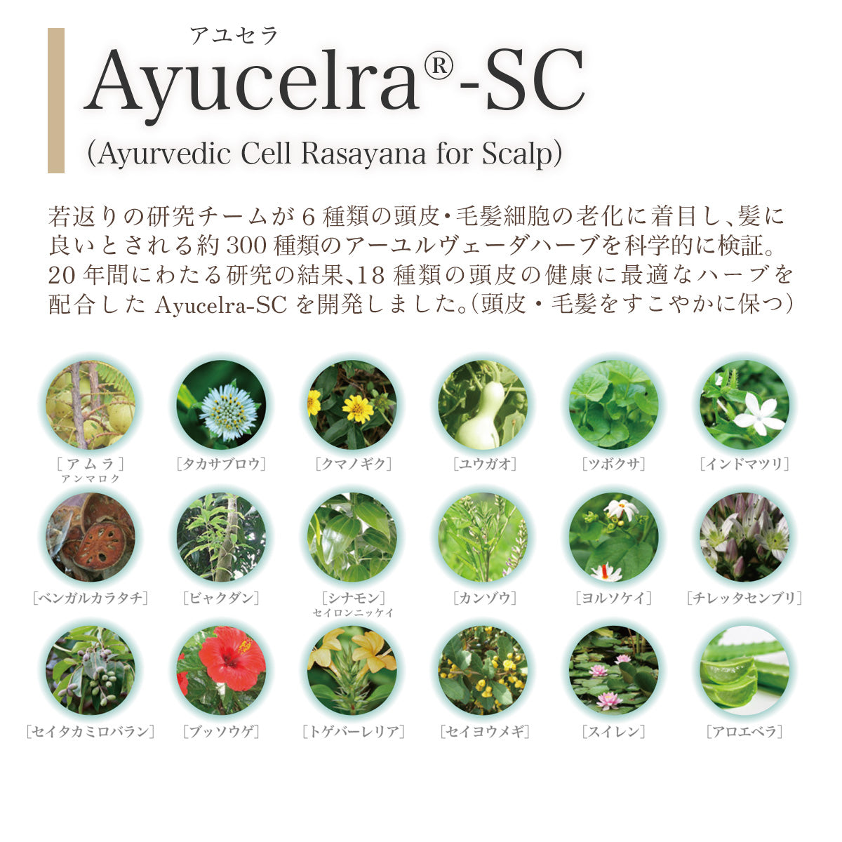 【詰替え用】髪のインナーケア【ヘアトリートメント】
