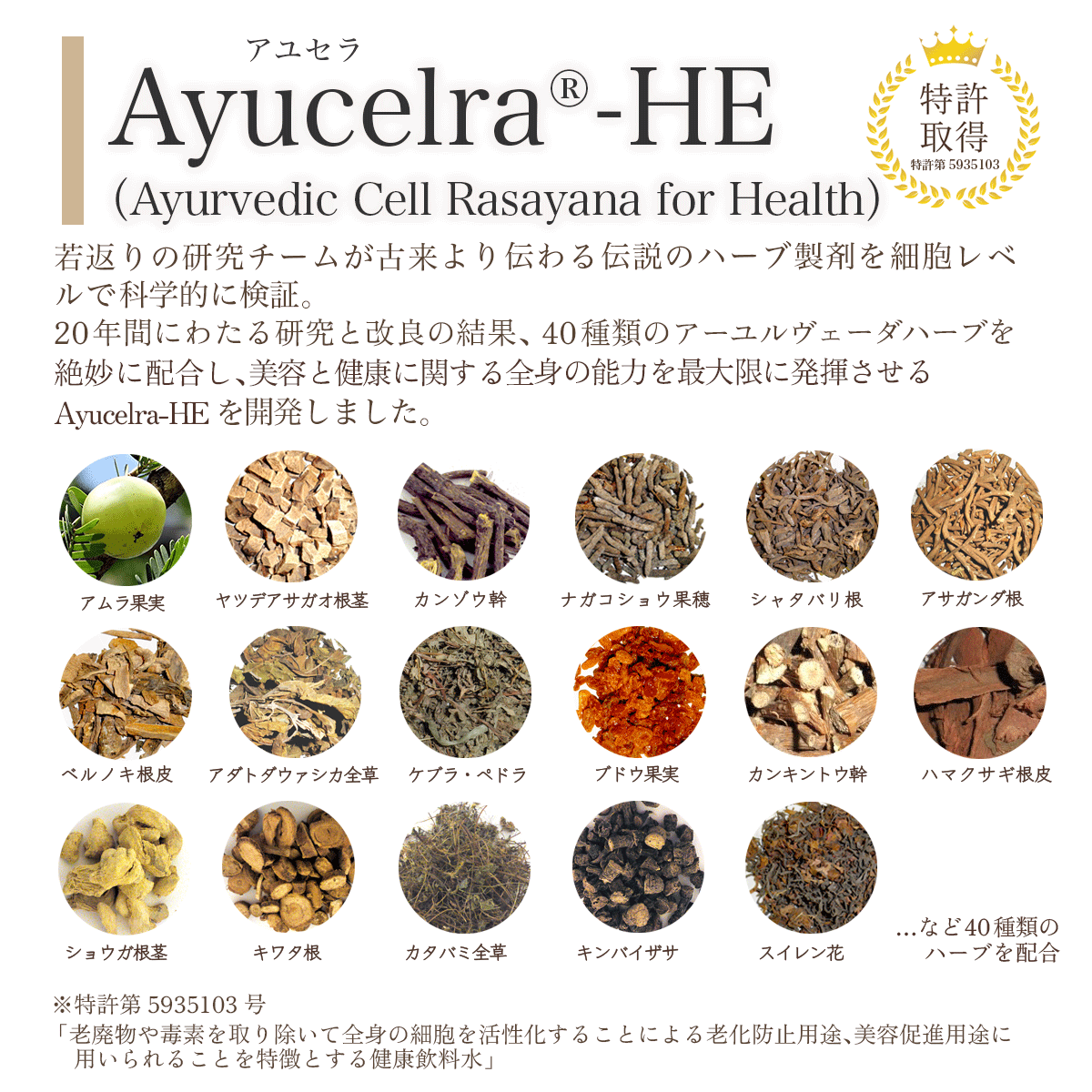 ayucelra®-HE