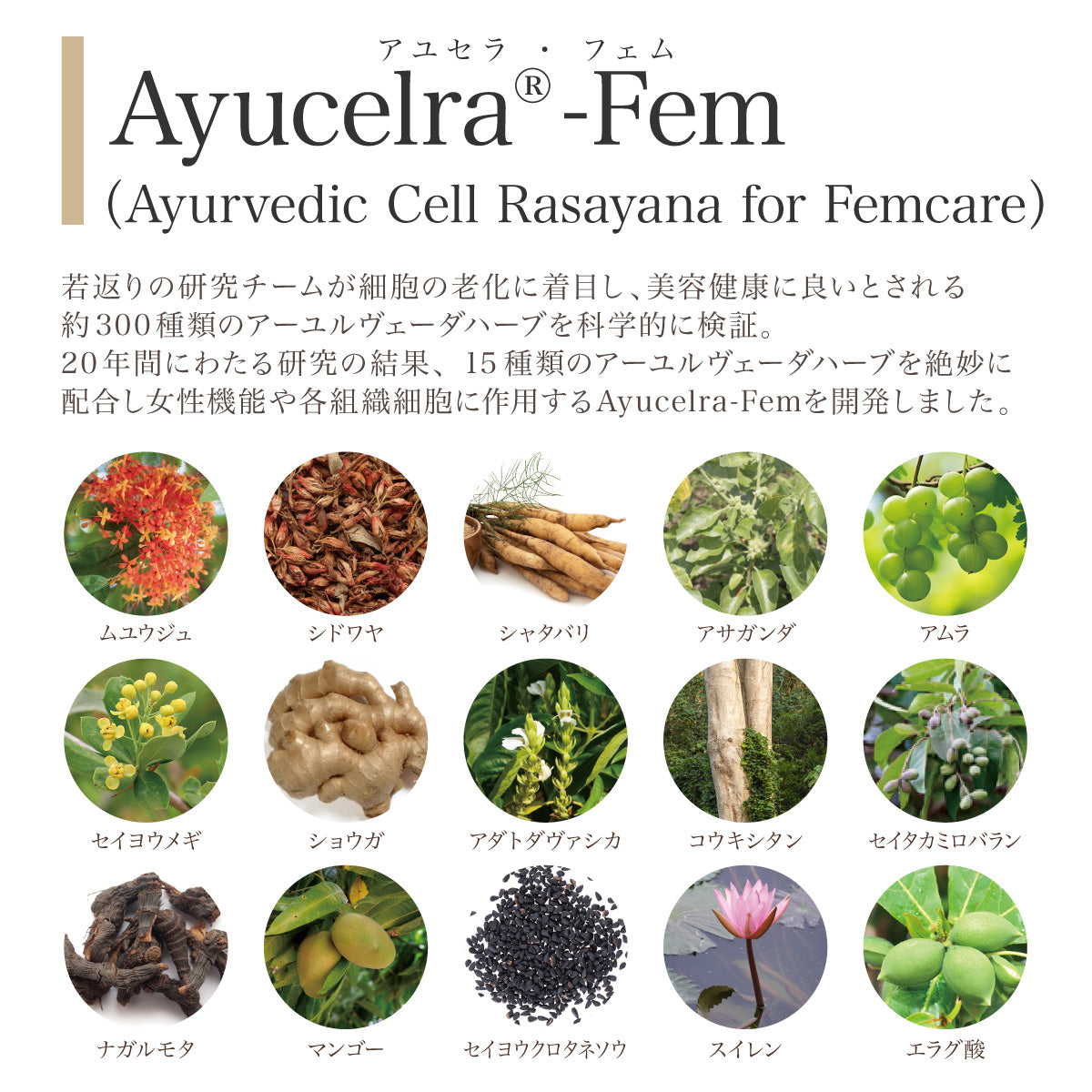 9/1 新発売!女性の悩みにアプローチ【MUYU-JU(ムユウジュ)】