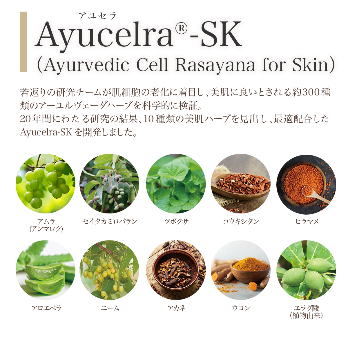 ayucelra®-SK