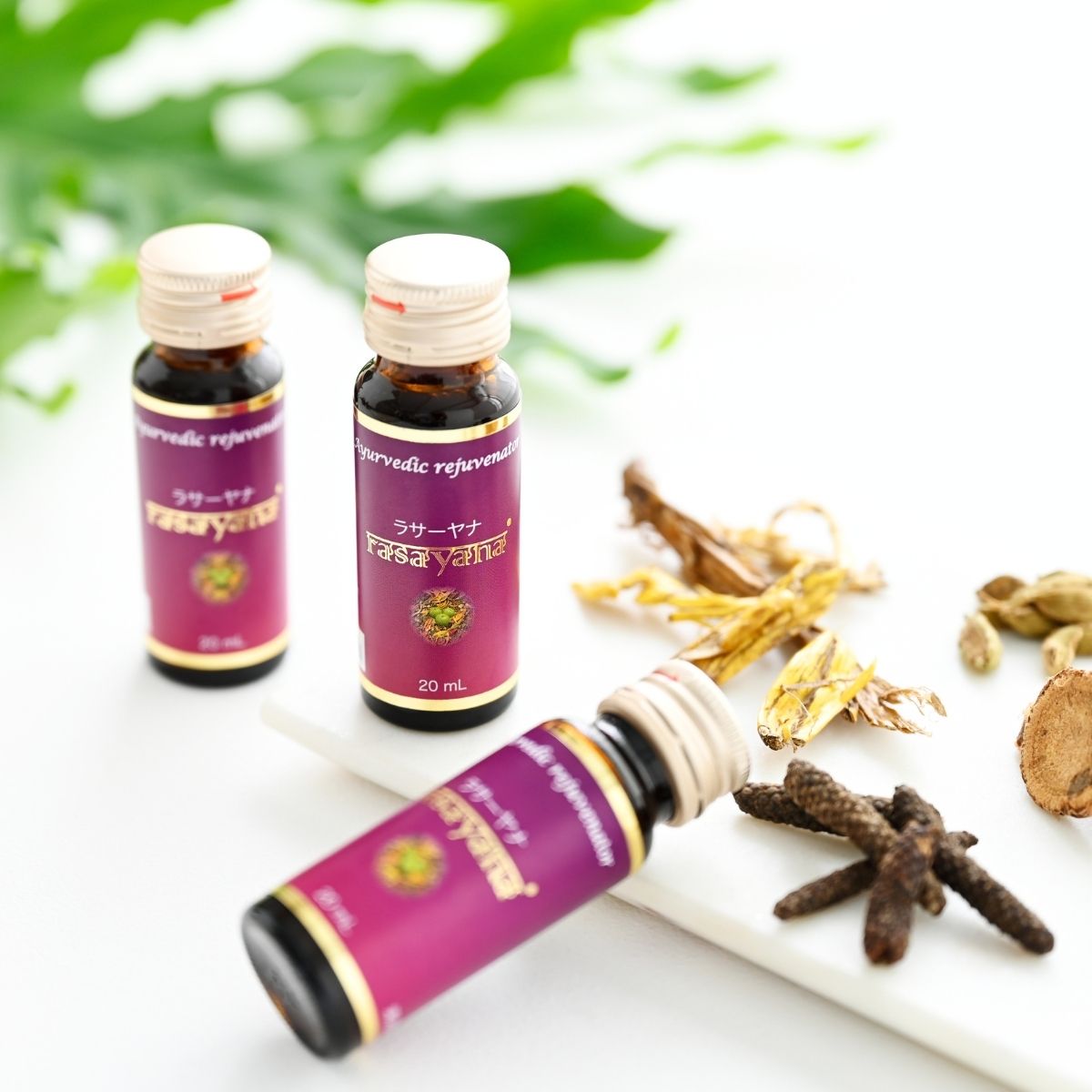 人生150年時代の健康飲料「RASAYANA(ラサーヤナ)」