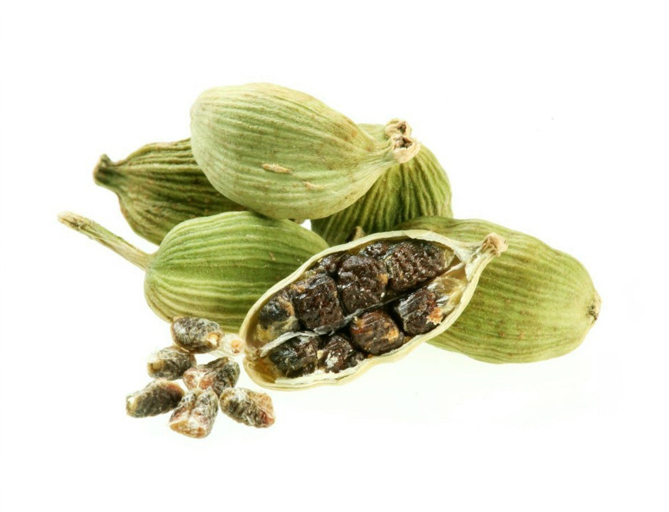 カルダモン Elettaria cardamomum