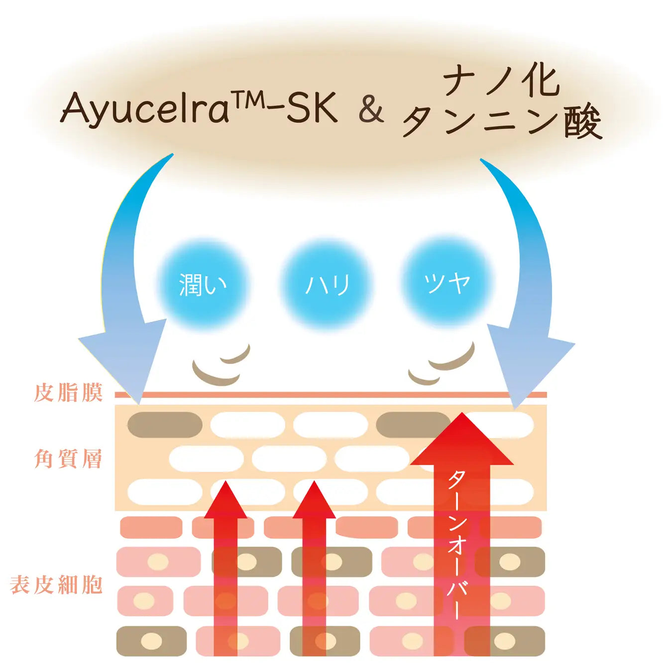 Ayucela-SKとナノ化タンニン酸