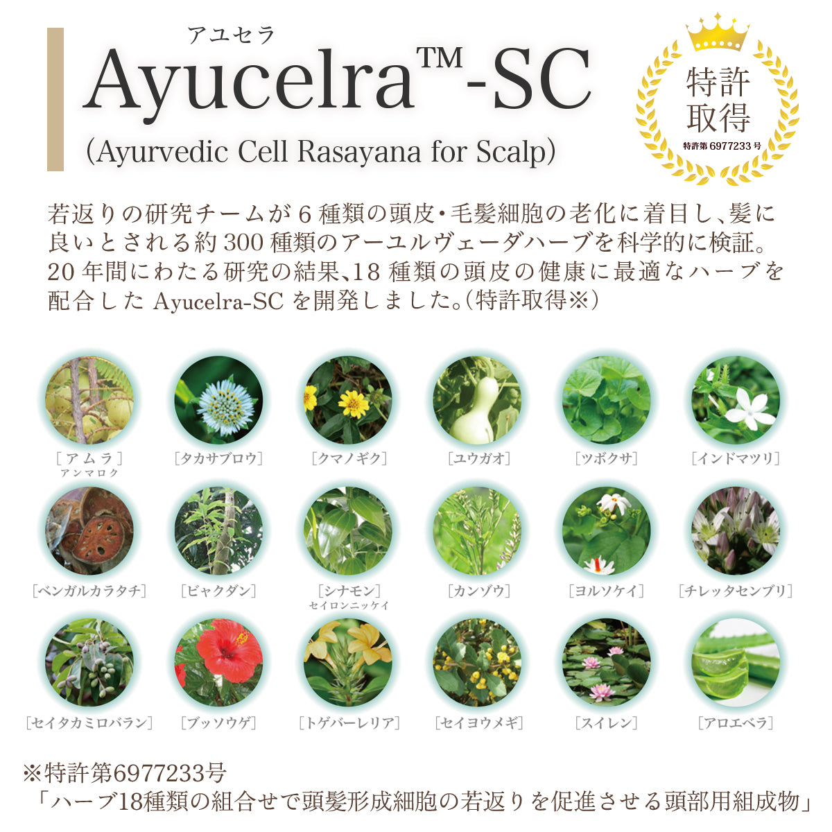 特許成分Ayucelra-SC配合