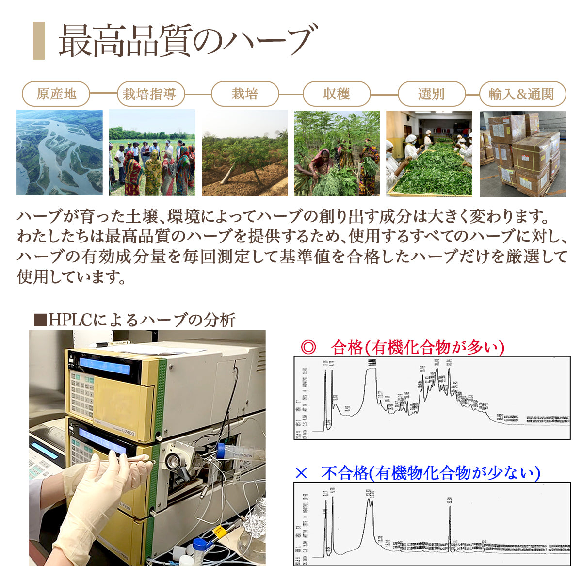 H/Tローション
