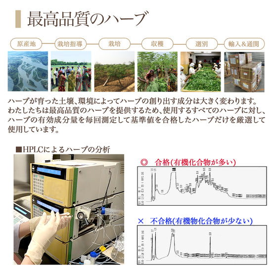 アーユルマスター H/Tローション もちもちうるツヤ肌へ