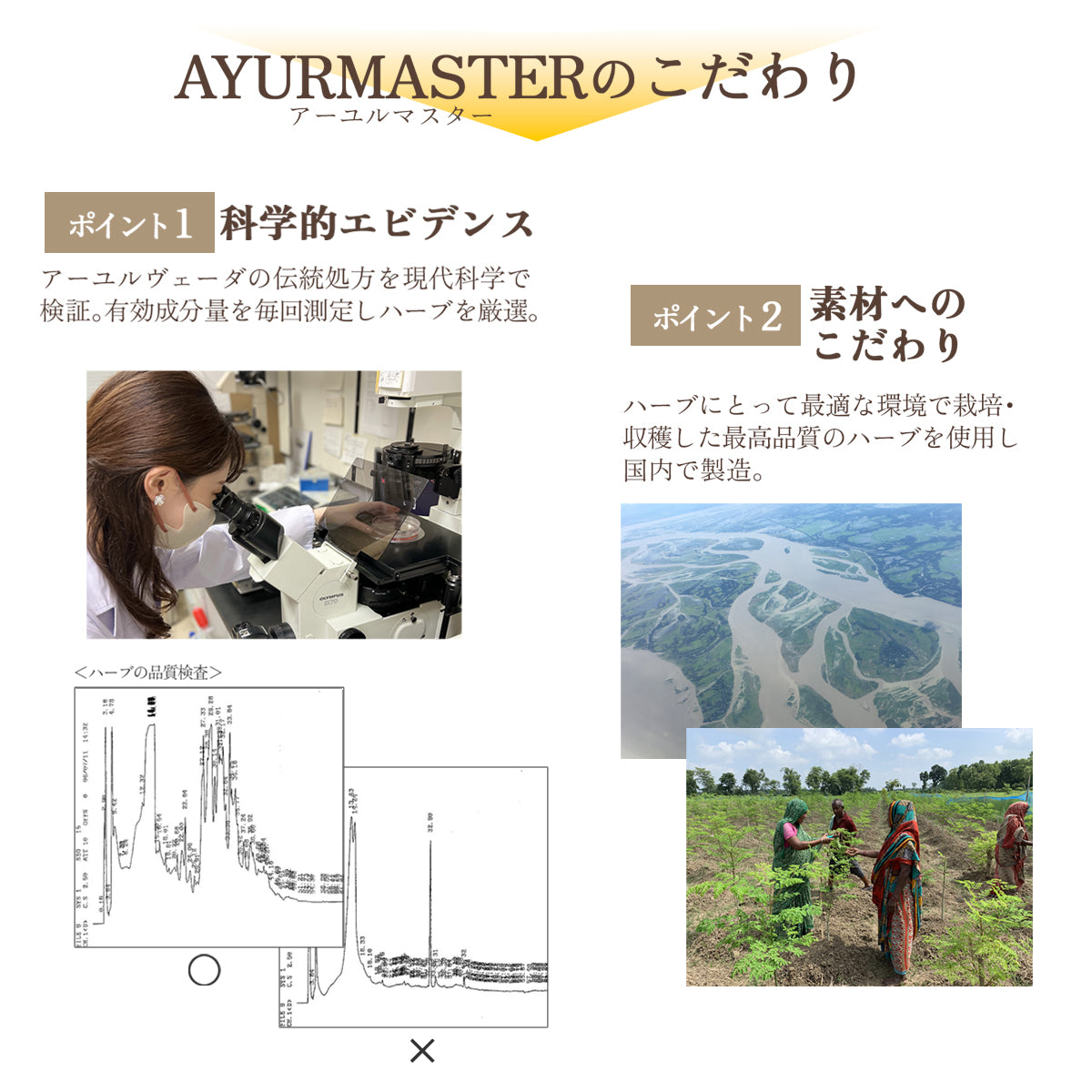 ラサーヤナ