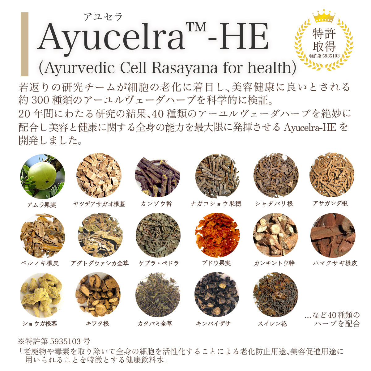 特許成分Ayucelra-HE