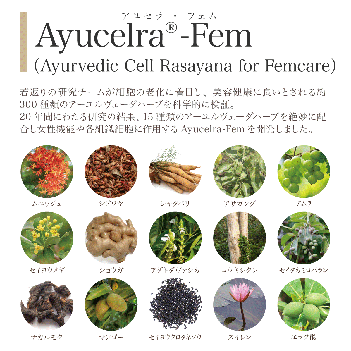 ayucelra®-Fem